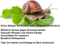 Preview: Schnecken-Stopp Schneckenkorn Schnecken-Schutz Schneckenabwehr Schneckenschutz 2 x 1,5 kg Reinex