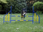 Preview: Agility Hürde Hunde PROFI-Training FCI konform Hunde Hürden Hundesport Dog