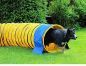 Preview: PROCYON Profi Agility Tunnel 360° mit Stützsandsäcken nach FCI-Standard L=5m Ø60cm