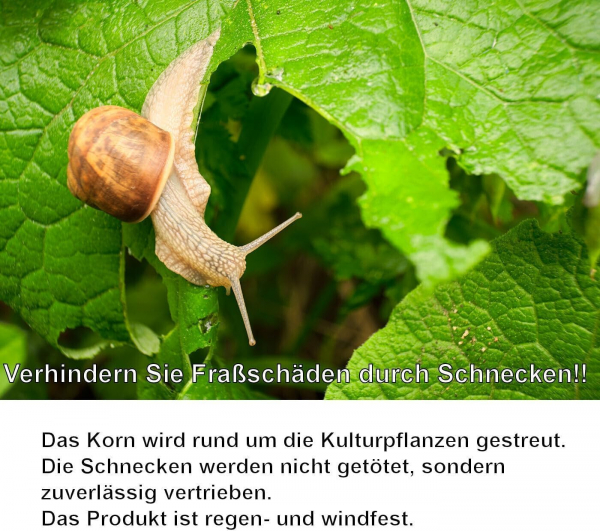 Schnecken-Stopp Schneckenkorn Schnecken-Schutz Schneckenabwehr Schneckenschutz 2 x 1,5 kg Reinex