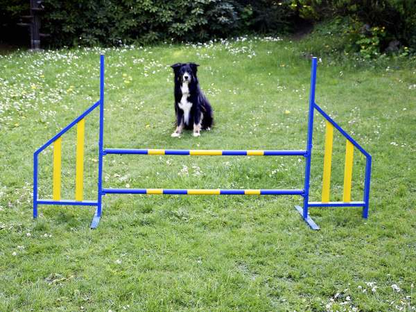 Agility Hürde Hunde PROFI-Training FCI konform Hunde Hürden Hundesport Dog